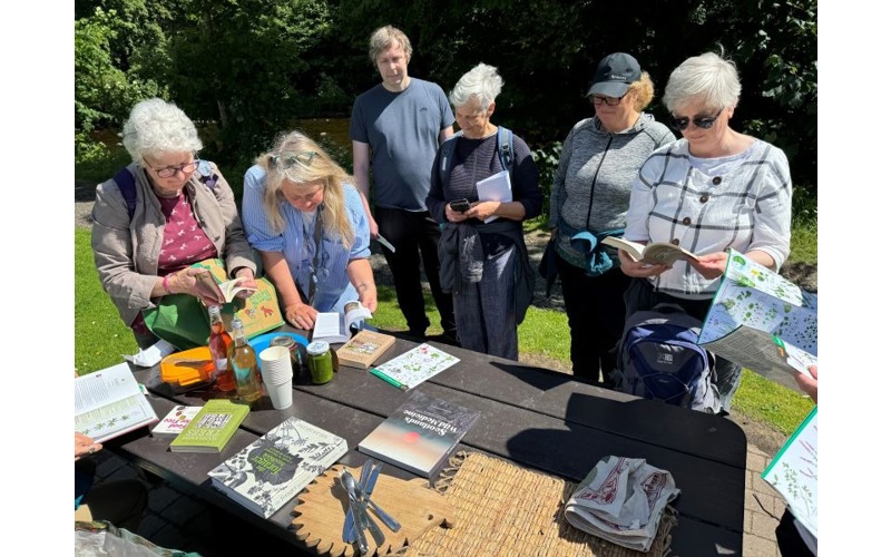 Blairgowrie and Rattray bioblitz hailed as a great success Blairgowrie and Rattray bioblitz hailed as a great success